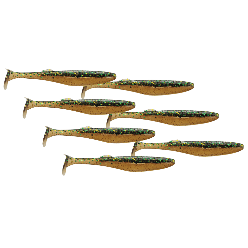 Tier, Fische, Hering, Leben im Meer, Sardine