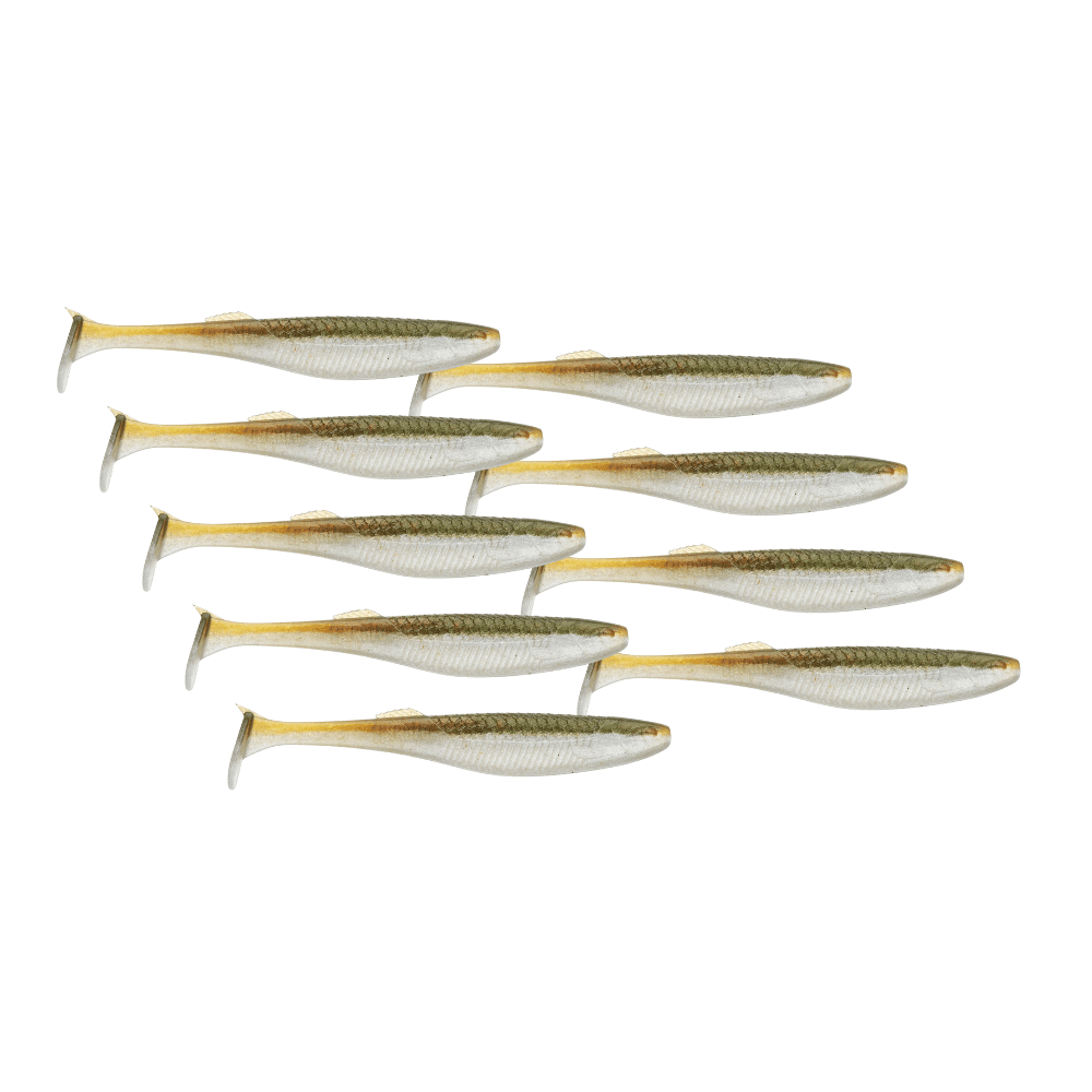 Tier, Hering, Leben im Meer, Sardine, Dolch