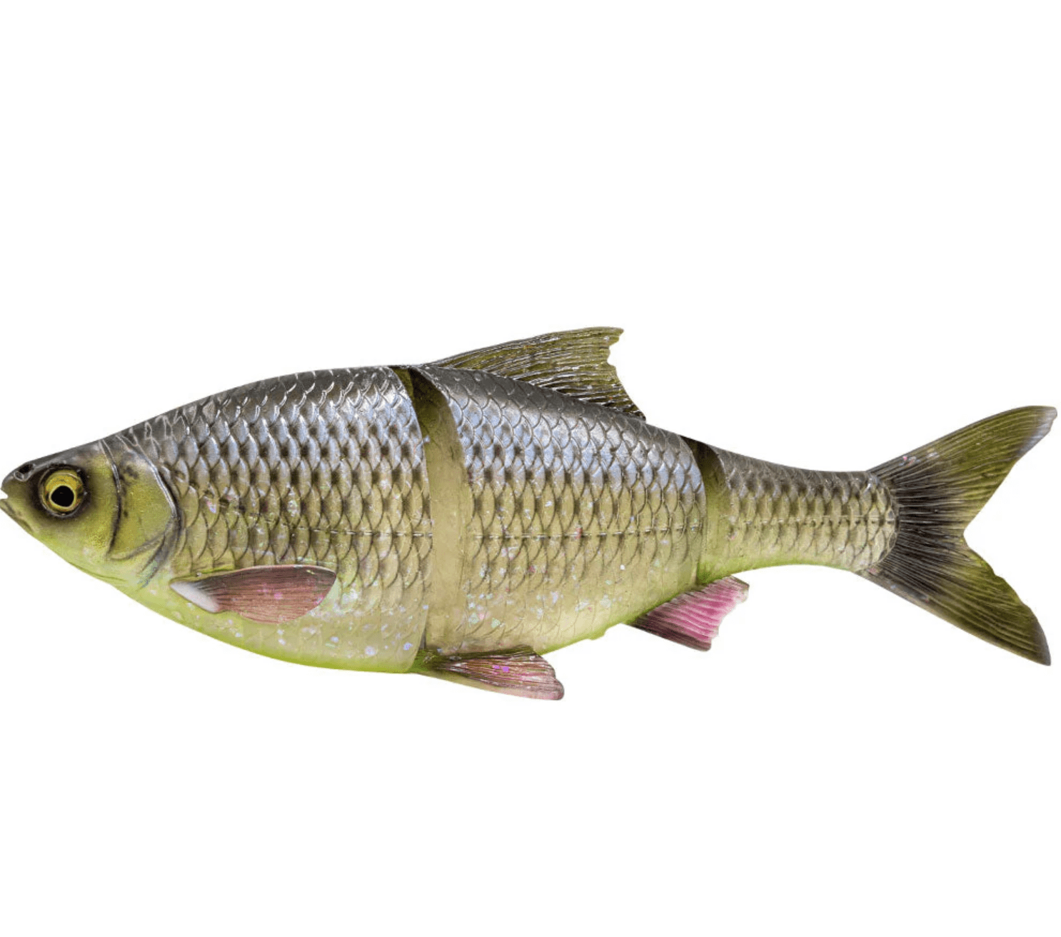 Fisch, Fischmodell, Schuppen, Schwanz, Flossen