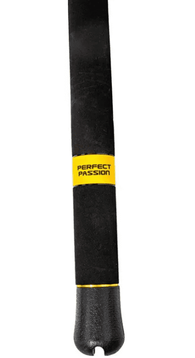 perfectpassion3