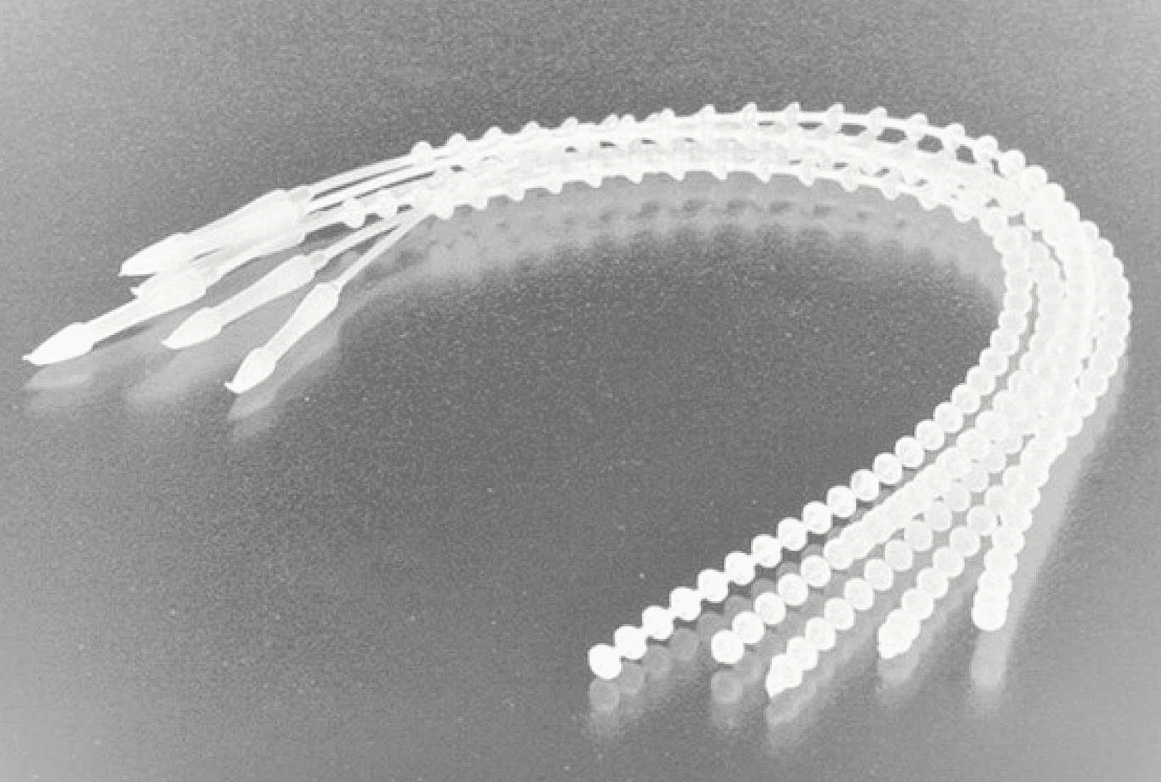 GoFish Boilie Stops Clear