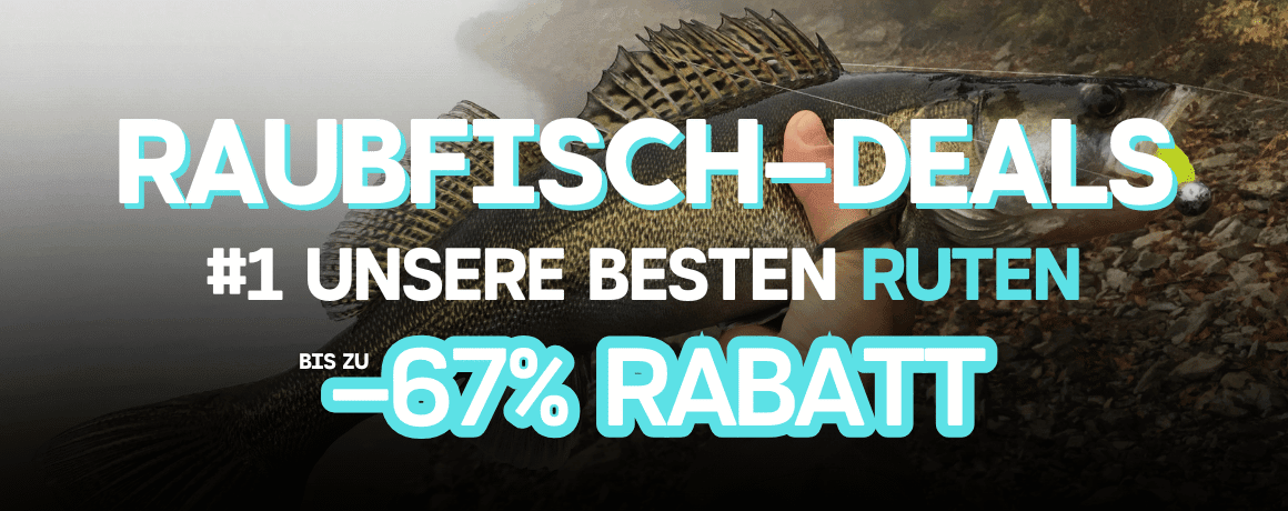 Tier, Leben im Meer, Fische, Barsch, Person