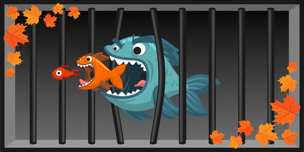 Blatt, Pflanze, Fische, Baum, Ahorn