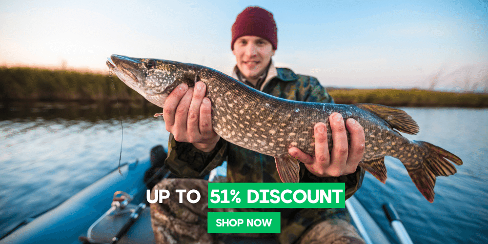 Tier, Fische, Leben im Meer, Hecht