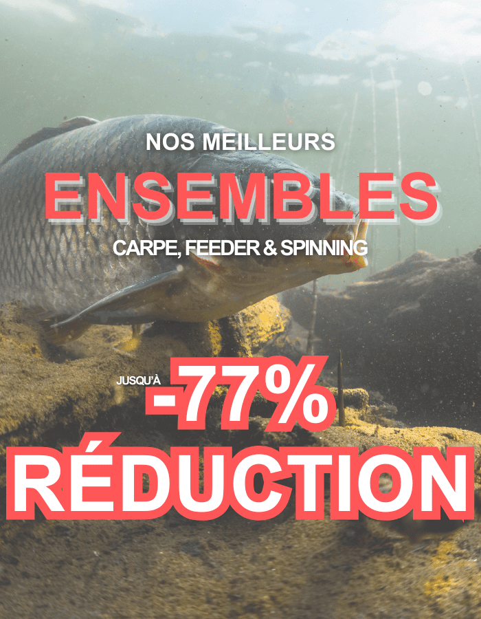 Tier, Karpfen, Fische, Leben im Meer