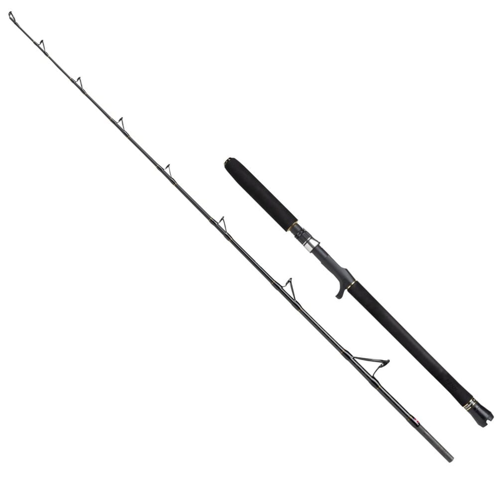 Penn Régiment III Jig 30-50lb