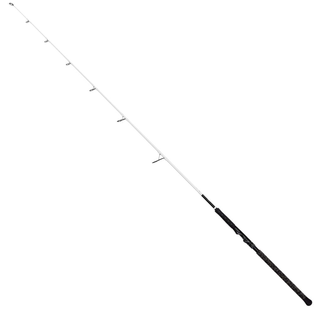DAM Caña Spin Madcat Blanca 210 cm 50-175g Fischen, Draußen, Wasser, Angler, Person