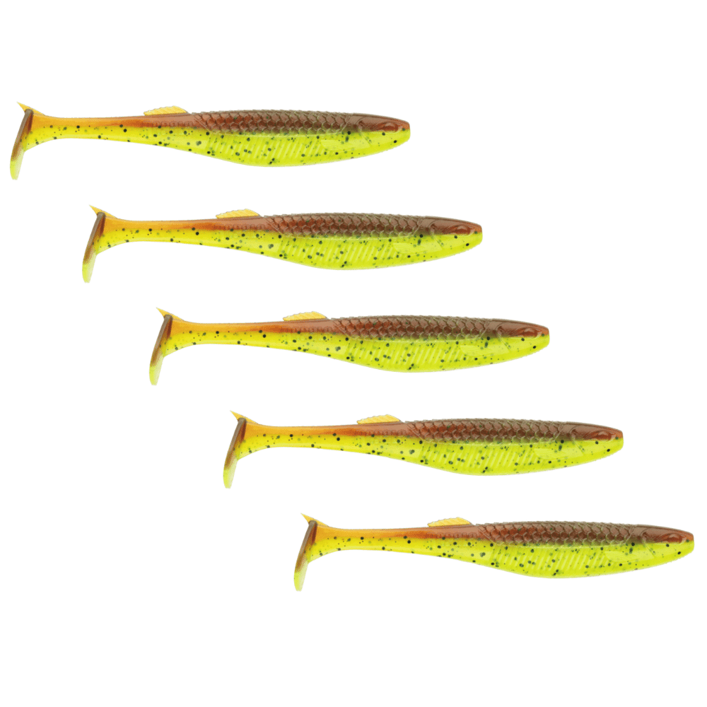 Tier, Fische, Hering, Leben im Meer, Sardine