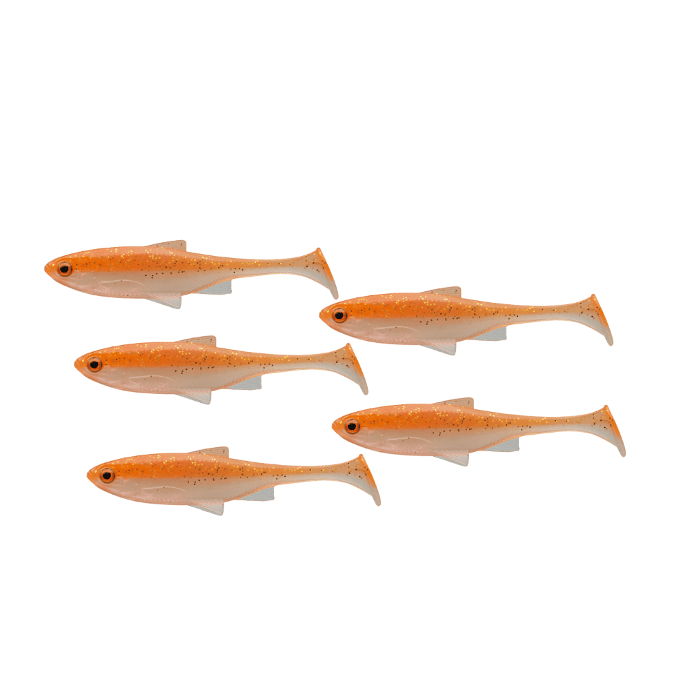 Tier, Fische, Leben im Meer