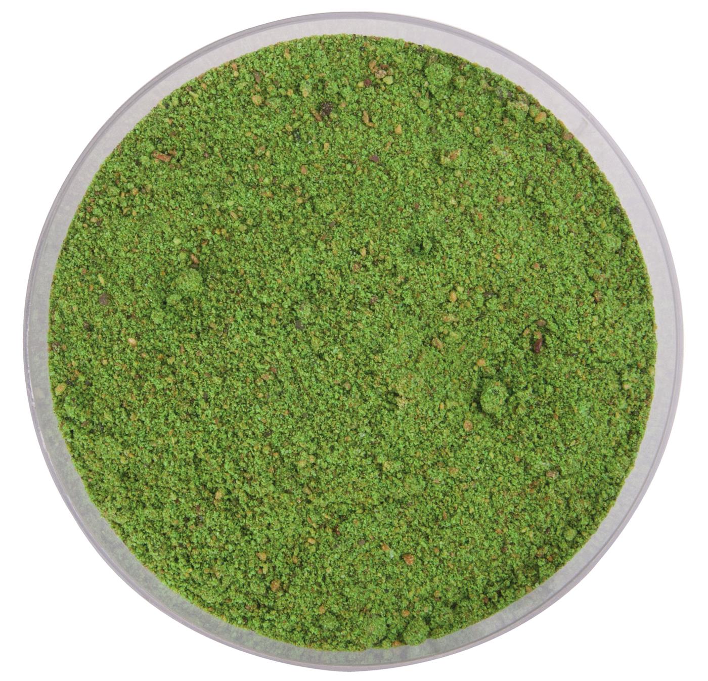 shallow_water-1 0845101