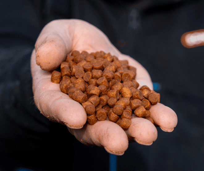 Kiesel, Körner, Tierfutter, Trockenfutter, Kugeln