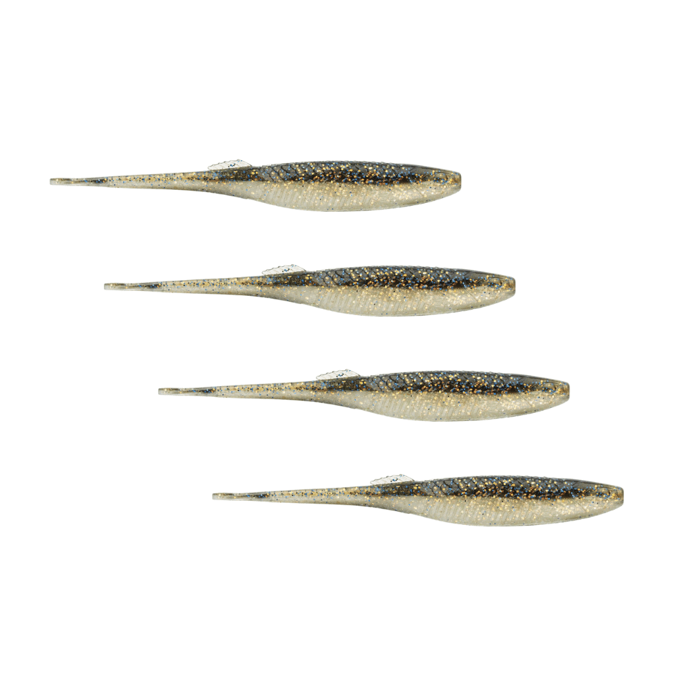 Tier, Fische, Leben im Meer, Hering