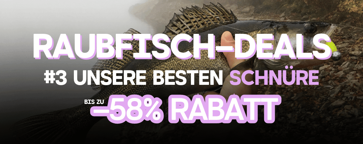 Tier, Leben im Meer, Fische, Barsch