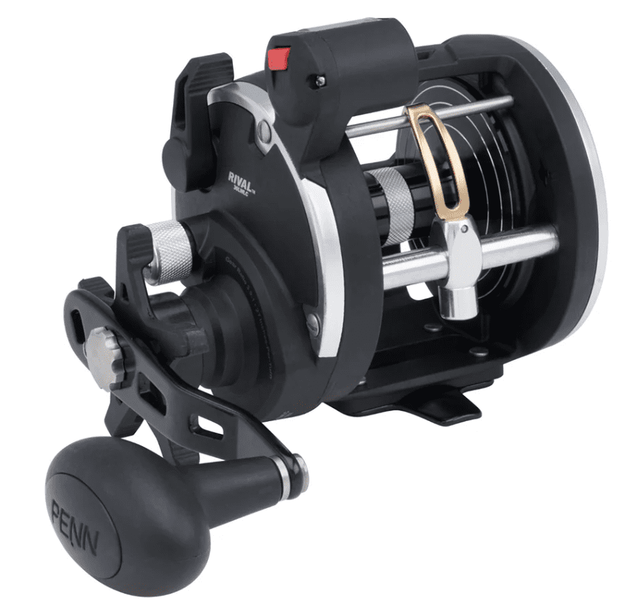Penn Rival Level Wind 30 LW LC Navijak Rolle