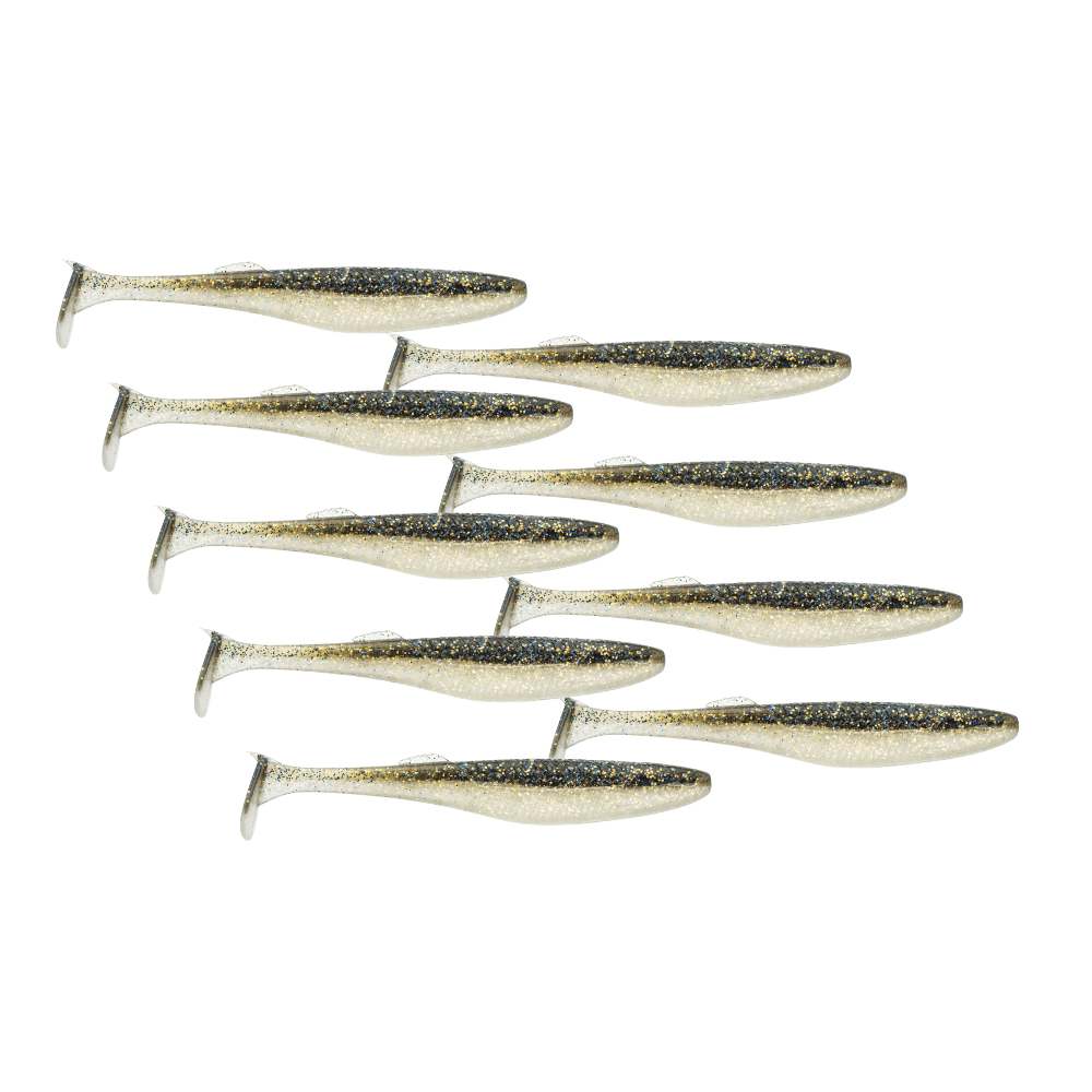 Tier, Fische, Hering, Leben im Meer, Sardine