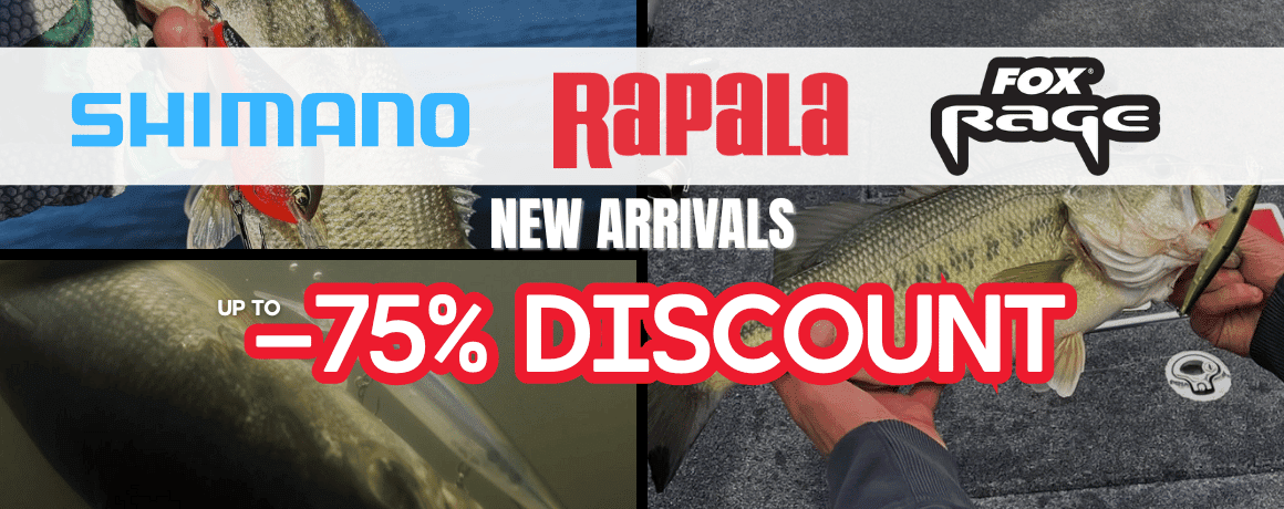 Tier, Fische, Leben im Meer