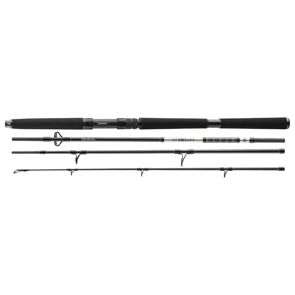 Daiwa-BG-Travel-Boat Daiwa BG Travel Boat 225 cm 150-500g 4-díl