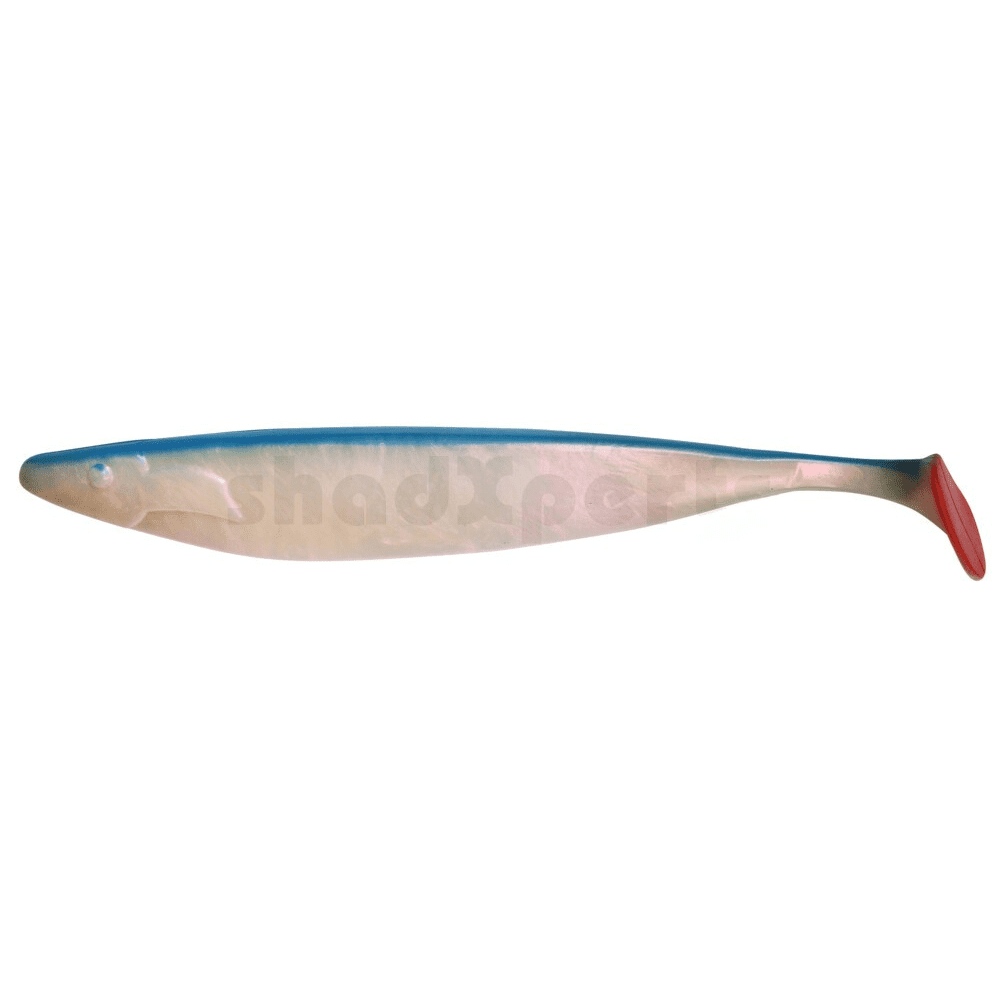 Gummifisch, Softbait, Angelfisch, Gummiwobbler, Hakenloser Köder
