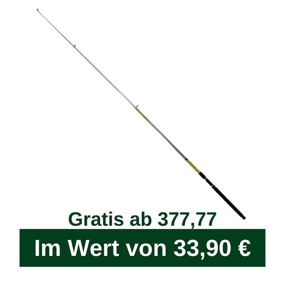 Angeln, Teleskopstange, Fischangel, Glasfaserstab, Griff
