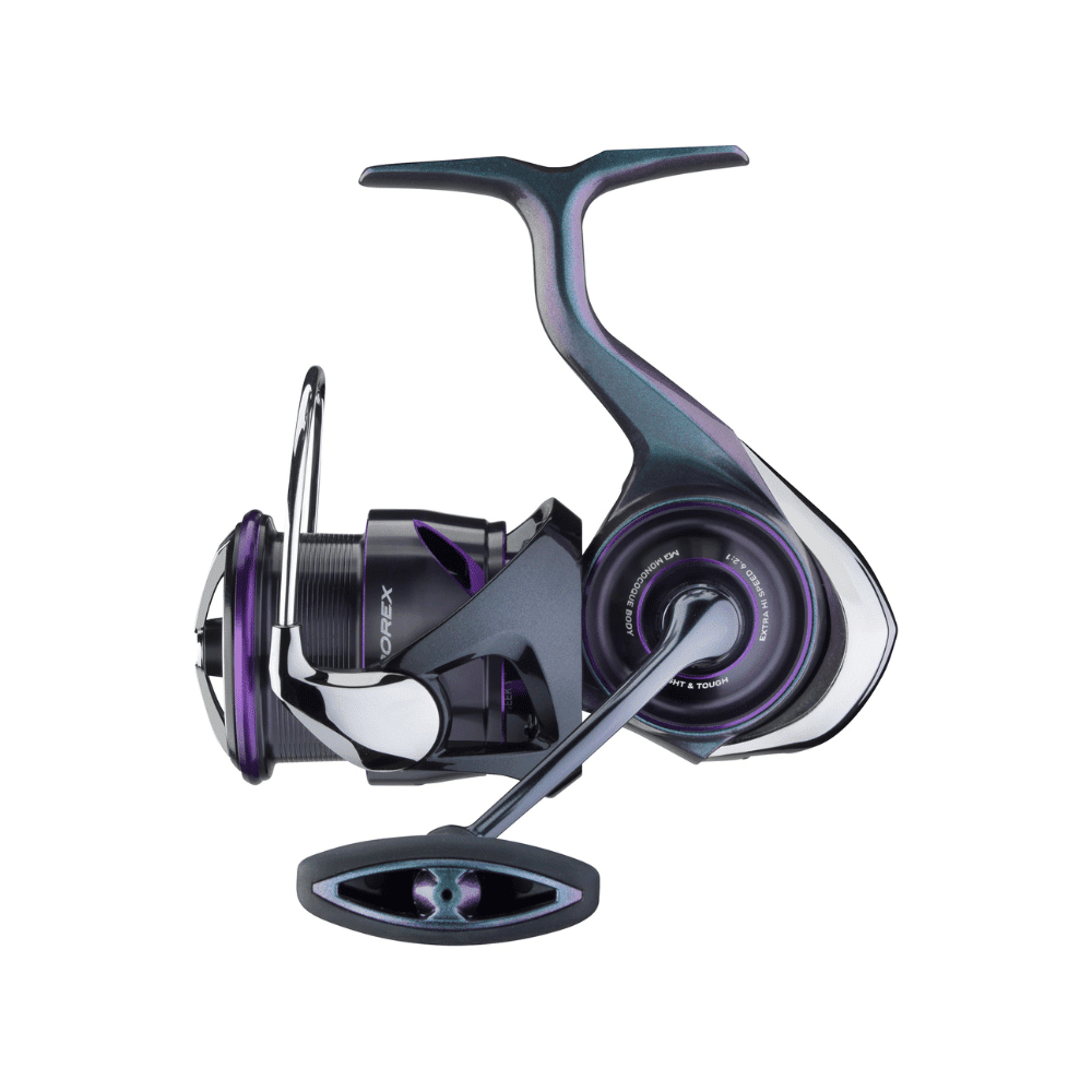 Daiwa 25 Prorex MQ LT3000D-C Rolle