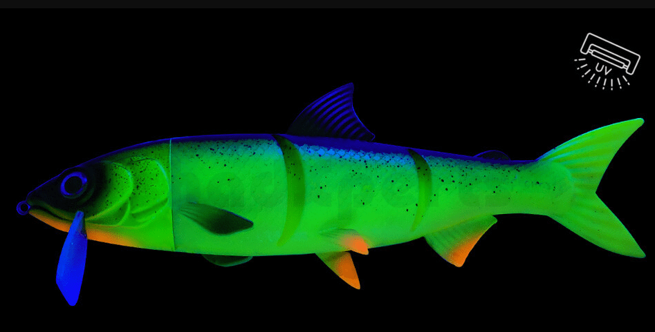 Tier, Fische, Leben im Meer