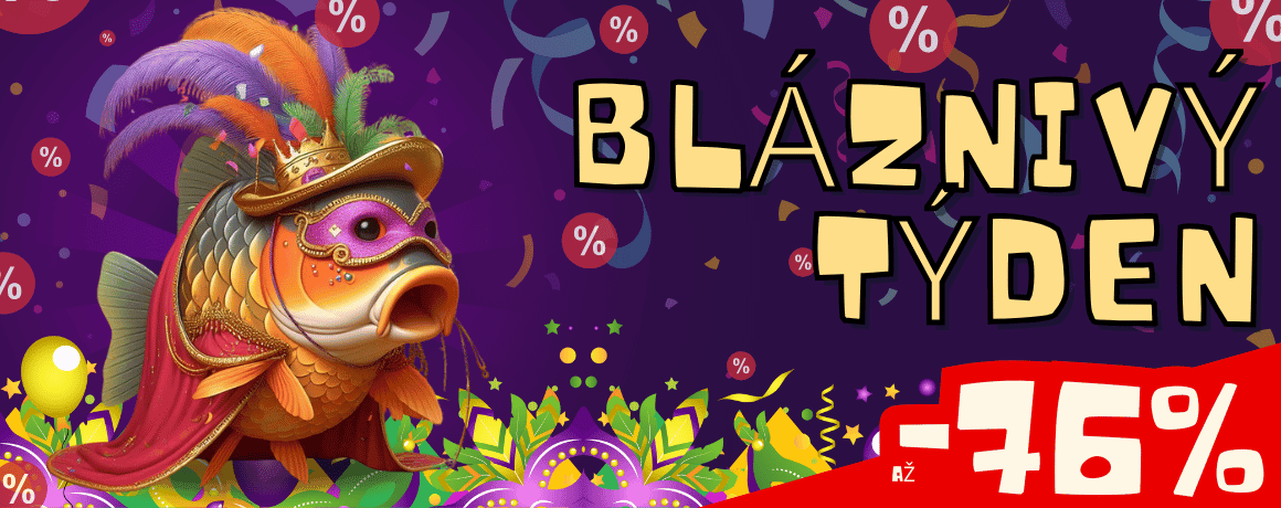 Karneval, Menschenmenge, Fasching, Parade, Person