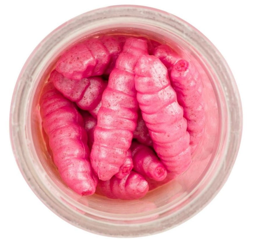 Berkley Gulp! Honeyworm 33mm Bubblegum 18 pezzi Berkley Gulp! Honeyworm 33mm Bubblegum 18 pezzi