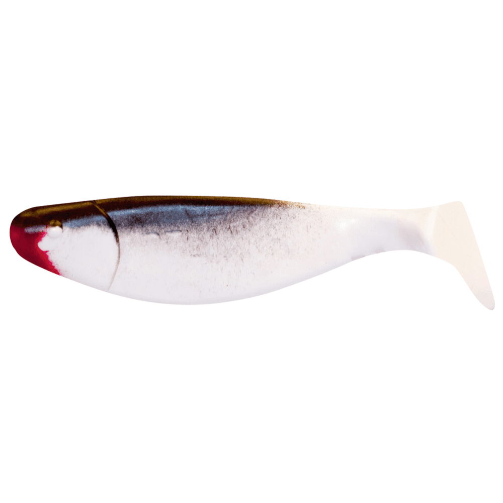 Tier, Fische, Hering, Leben im Meer, Sardine