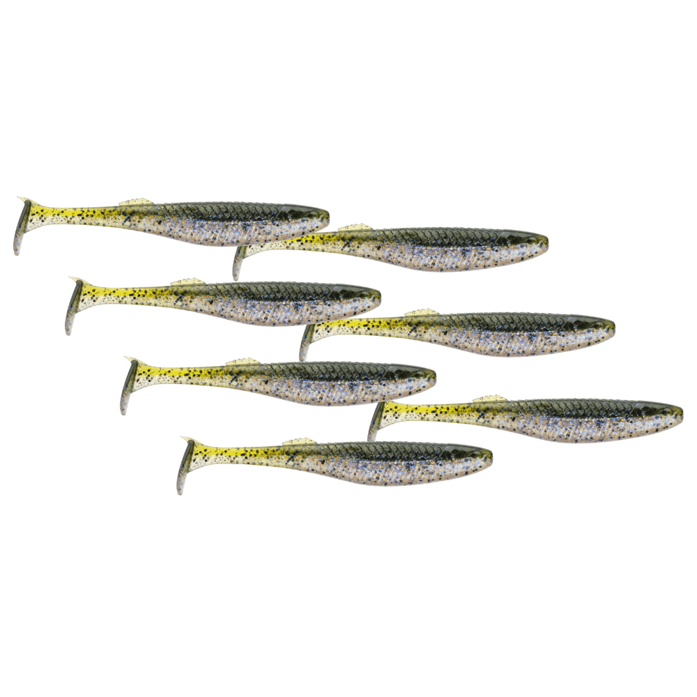 Tier, Fische, Hering, Leben im Meer, Sardine