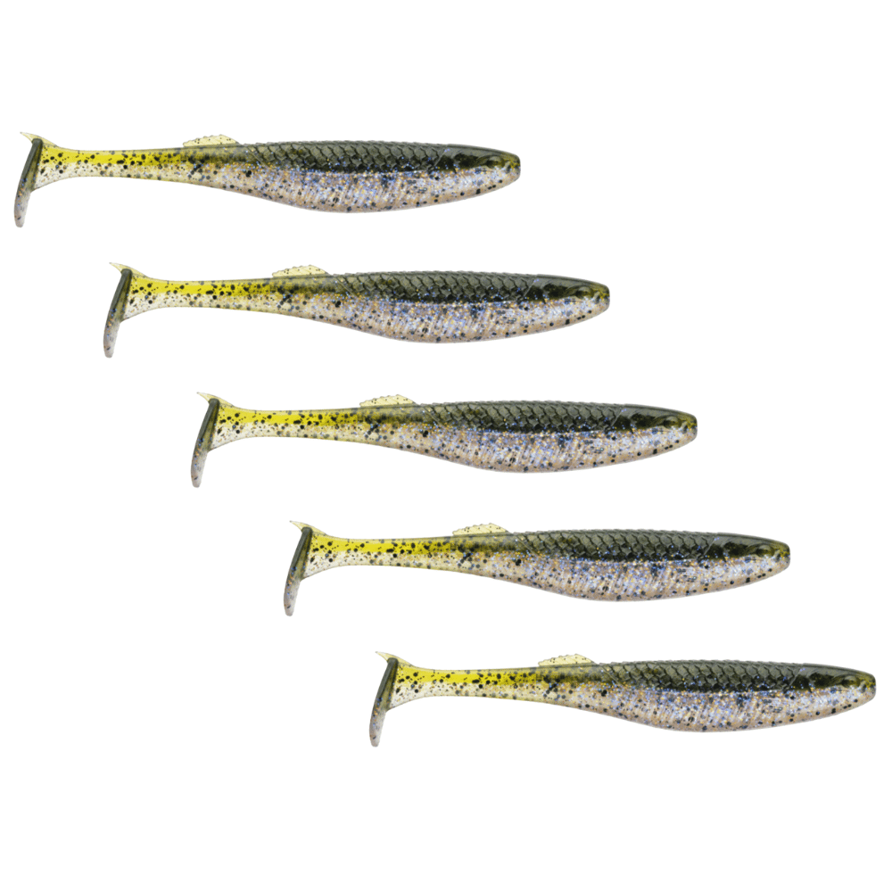 Tier, Fische, Hering, Leben im Meer, Sardine