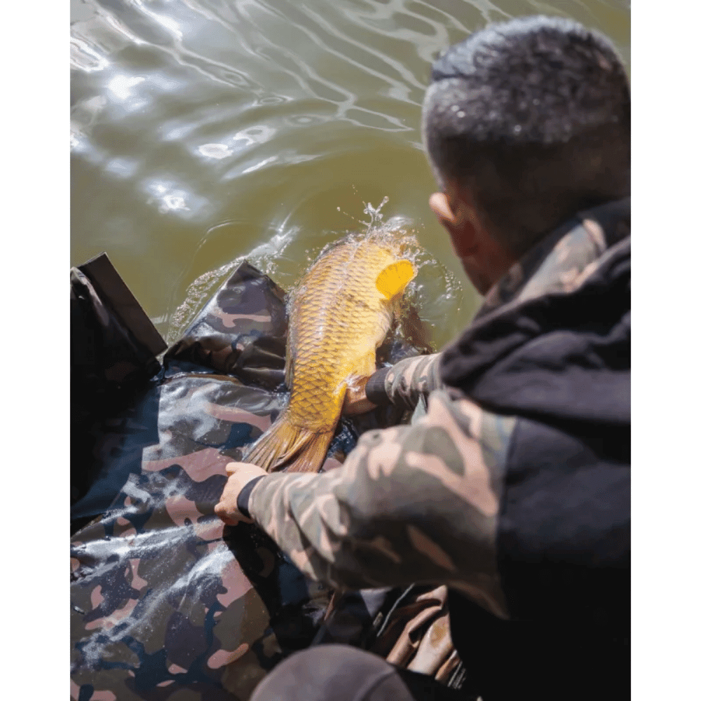 Erwachsener, Männlich, Mann, Person, Karpfen