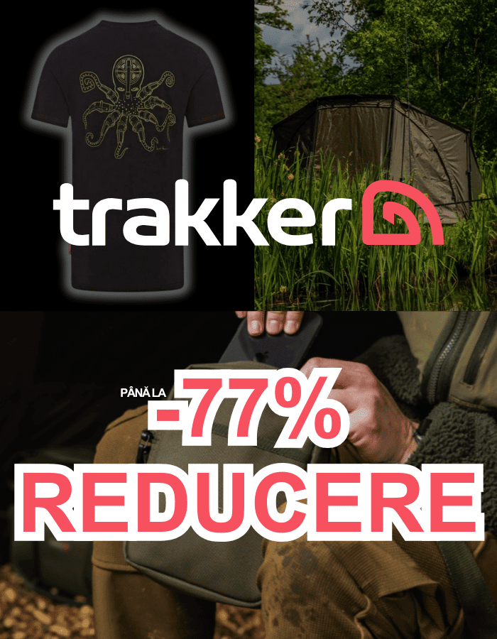 Bekleidung, T-shirt, Person, Draußen