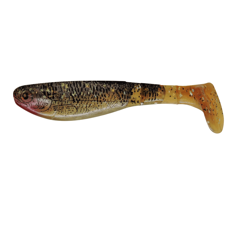 Tier, Fische, Leben im Meer