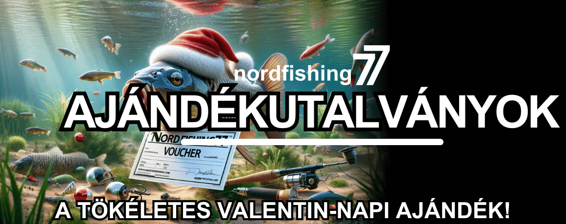 Aquatisch, Wasser, Fische, Leben im Meer, Draußen