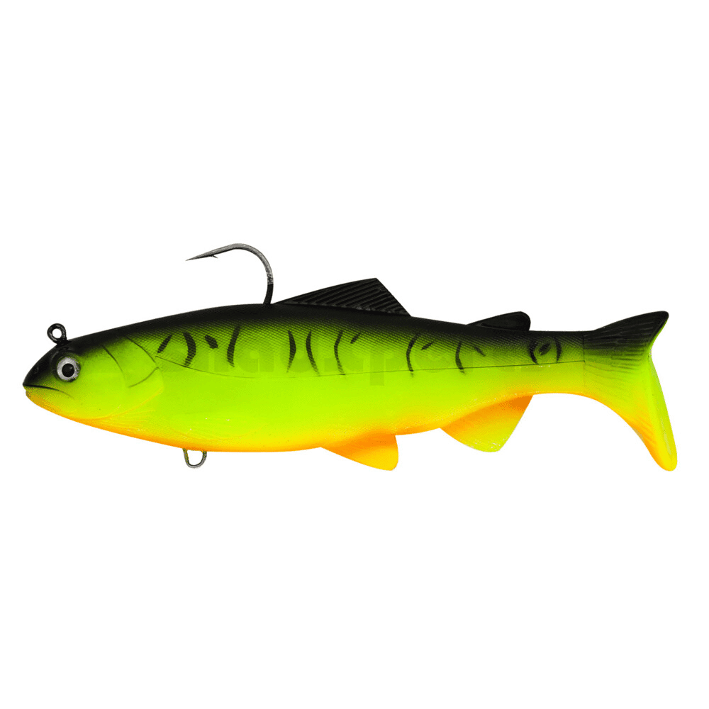 Tier, Fische, Leben im Meer