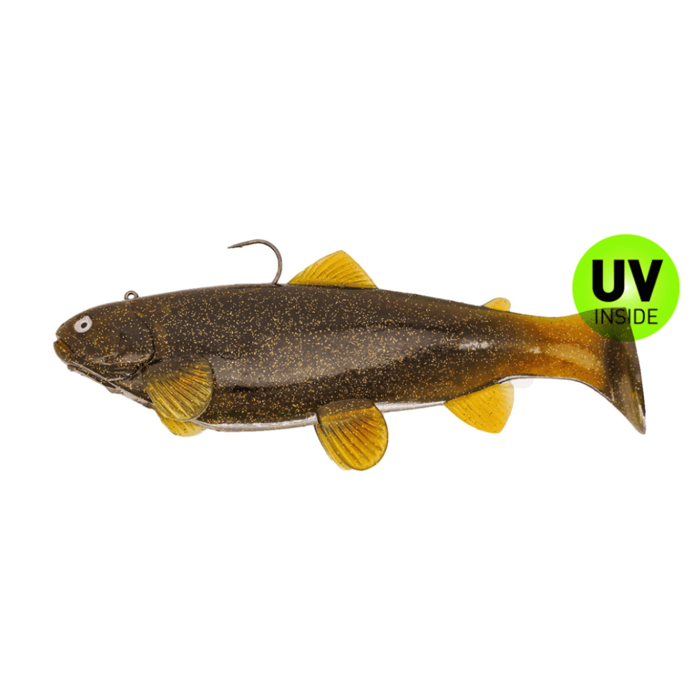 Castaic Swim Bait Trout 25cm 250g sinking Gold Motoroil Tier, Fische, Leben im Meer