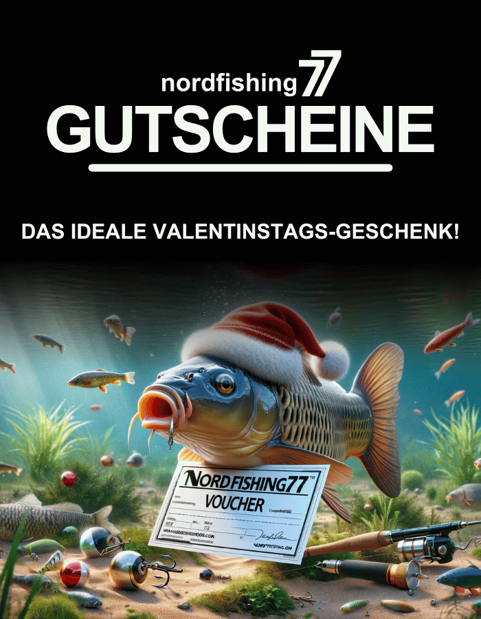 Werbung, Plakat, Fische, Aquatisch, Wasser