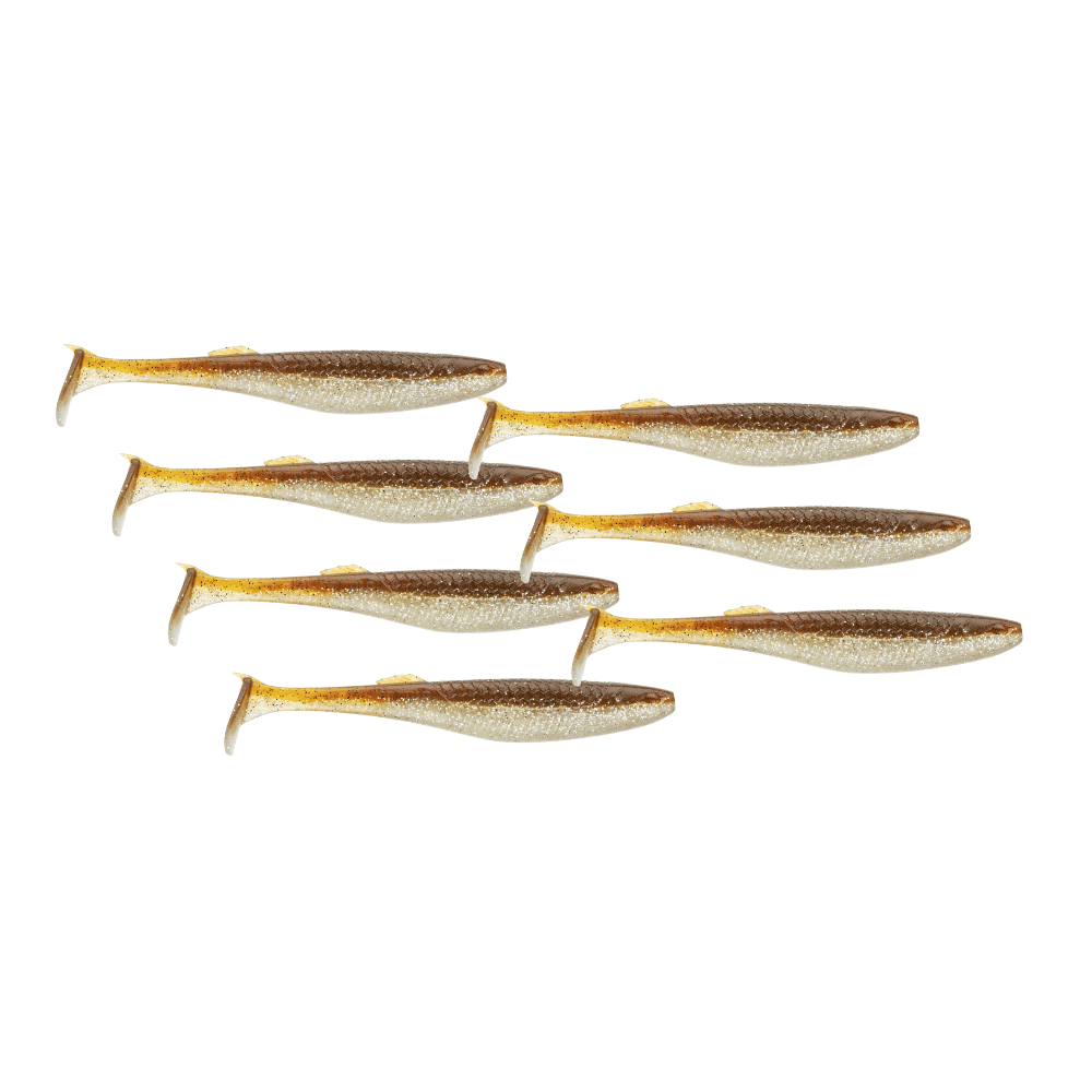 Tier, Fische, Hering, Leben im Meer, Sardine