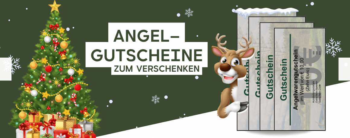 Pflanze, Baum, Weihnachtsdekorationen, Festival, Weihnachtsbaum