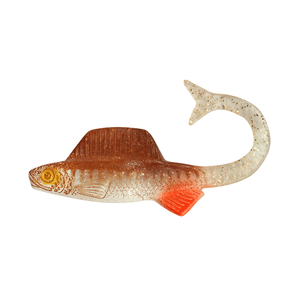 Tier, Fische, Leben im Meer