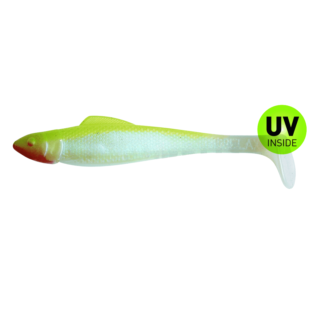 Tier, Fische, Leben im Meer