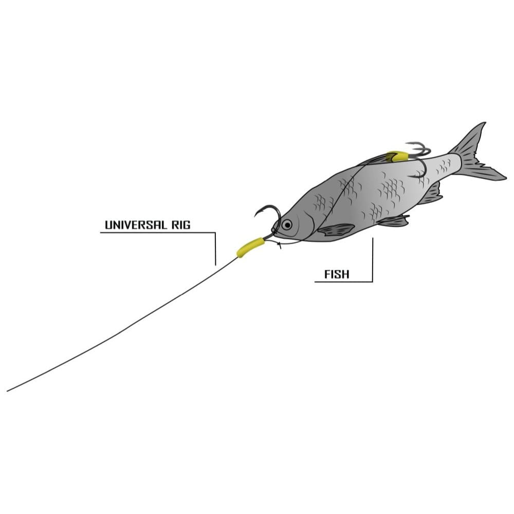 Cat Rig Skipjack Black Cat Universal Rig 2,0 m 2 Haken 8/0+3/0