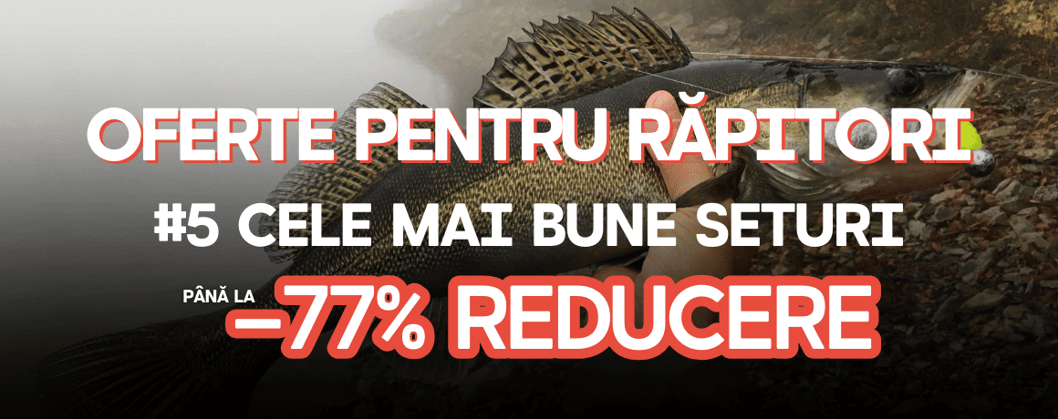 Tier, Leben im Meer, Fische, Barsch