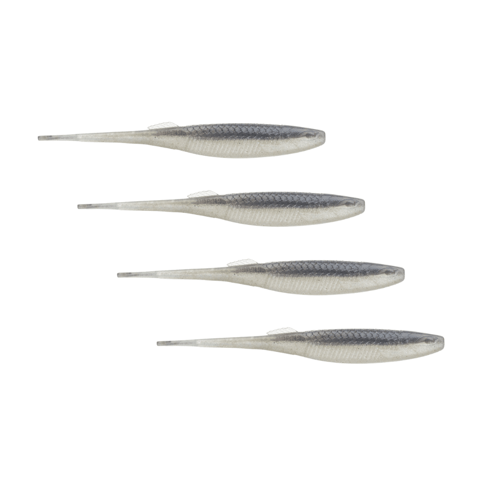 Tier, Fische, Hering, Leben im Meer