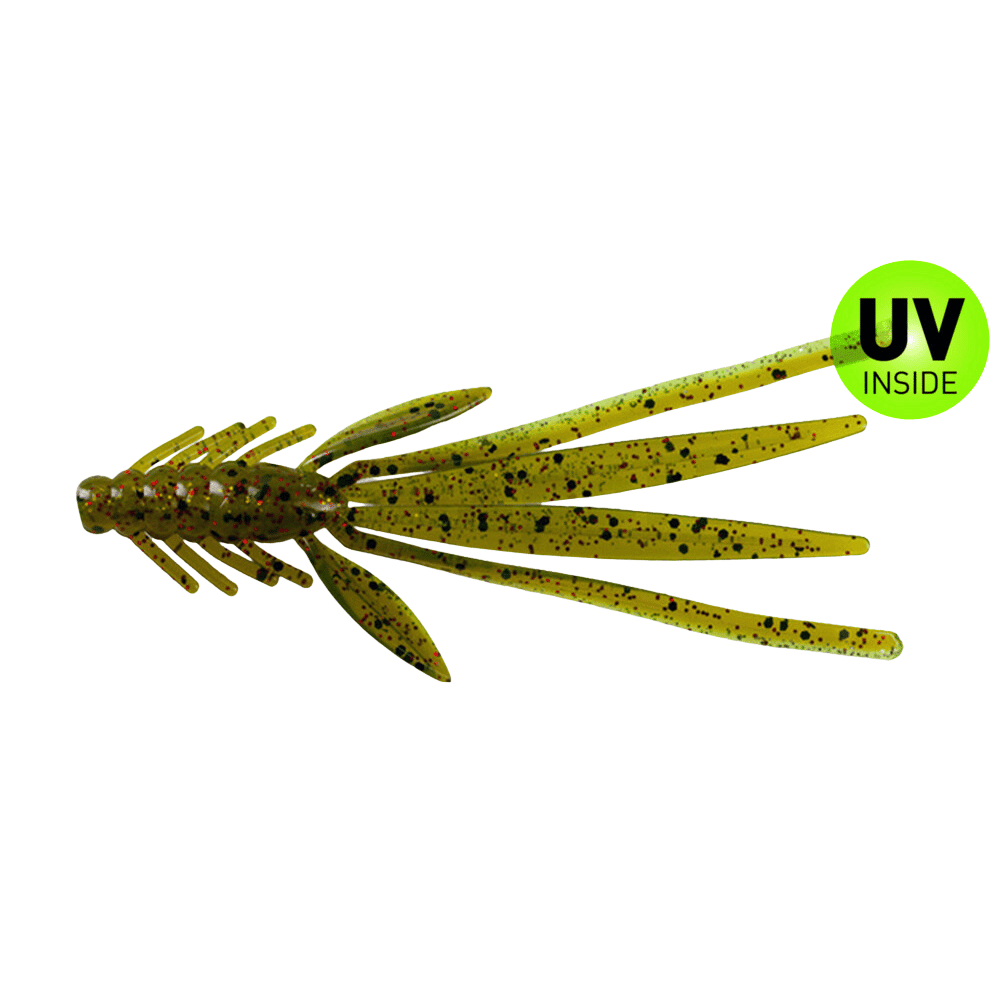 Pflanze, Baum, Tier, Insekt, Wirbellose