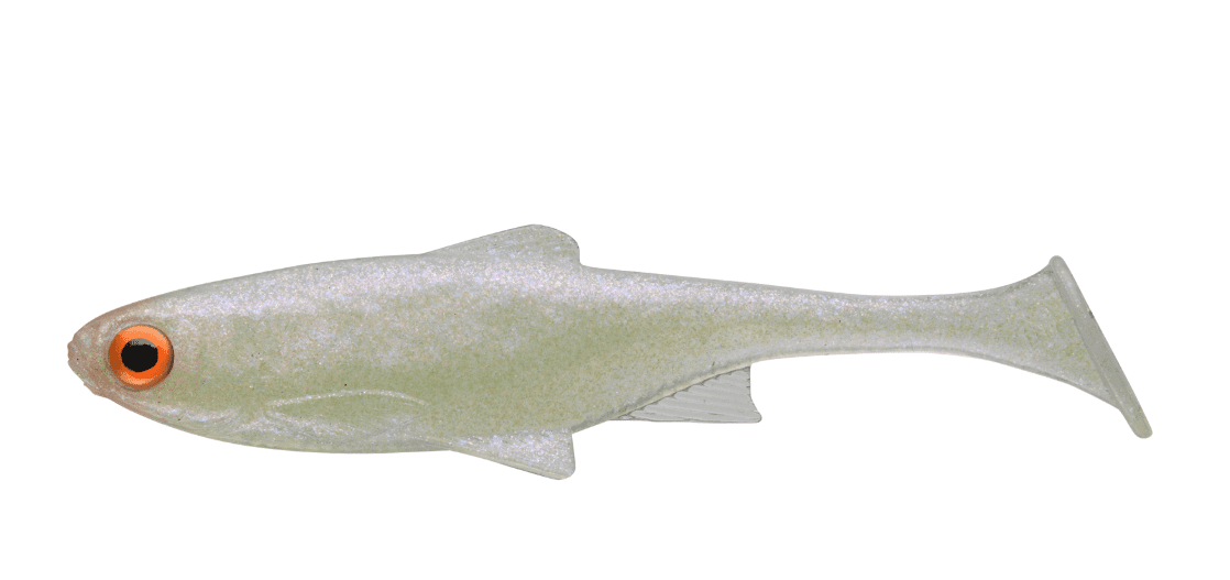 Tier, Fische, Leben im Meer, Meerbarbenfisch, Meeresfrüchte