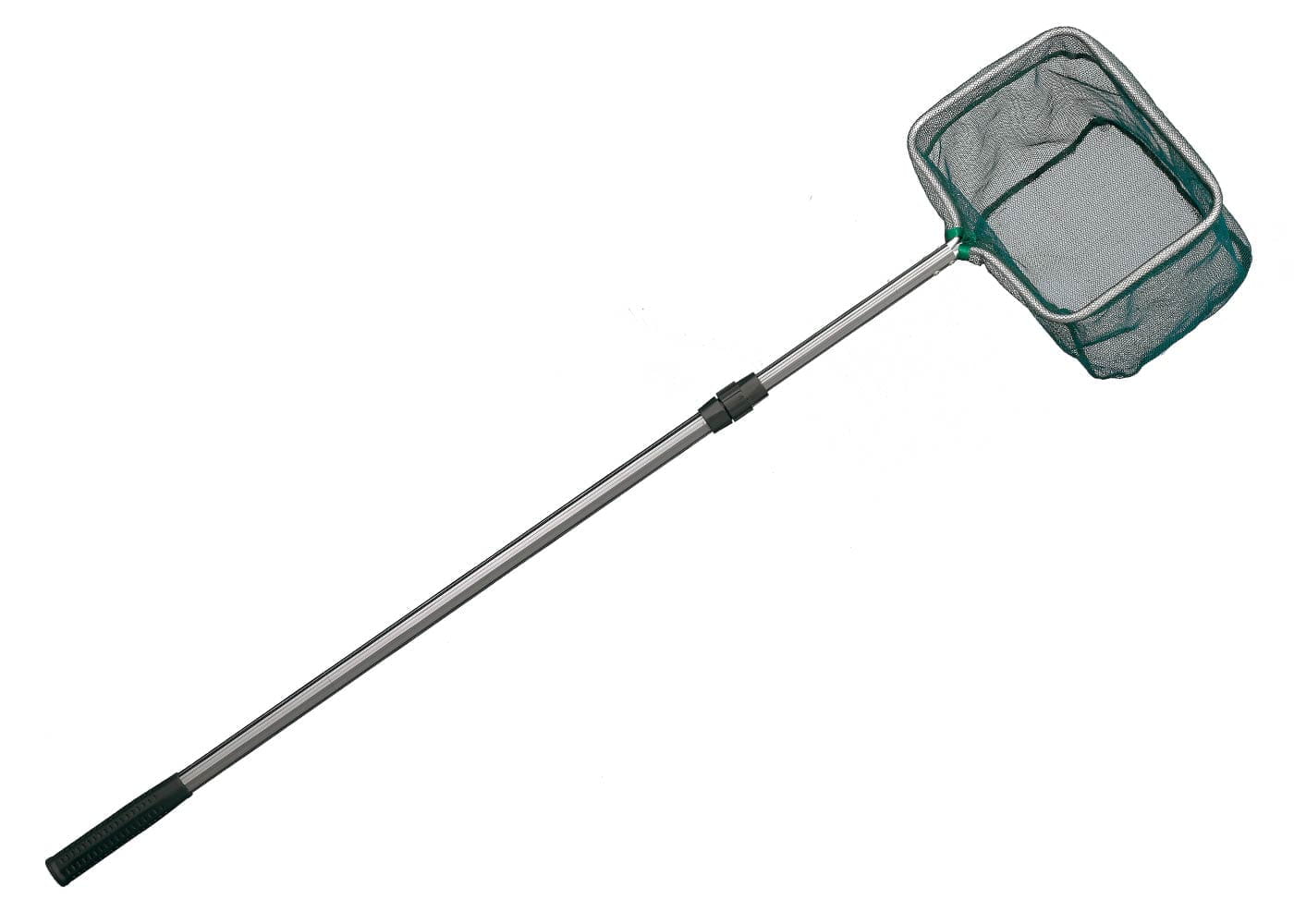 saenger_teichkescher Sänger Teichkescher