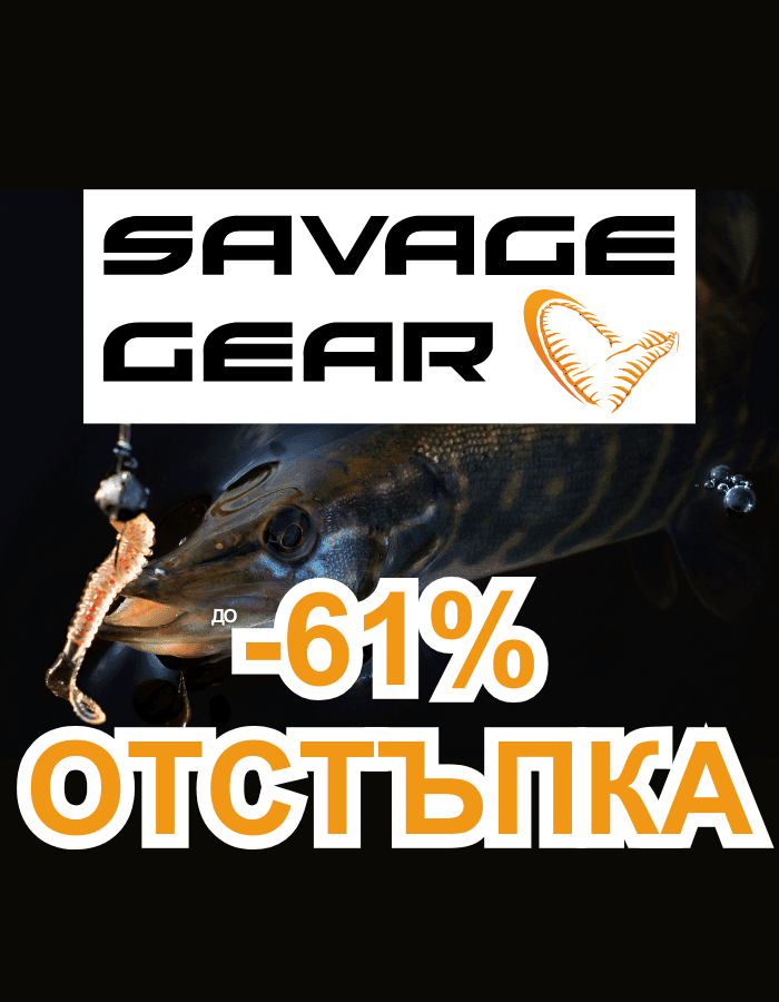 Tier, Fische, Leben im Meer, Hecht