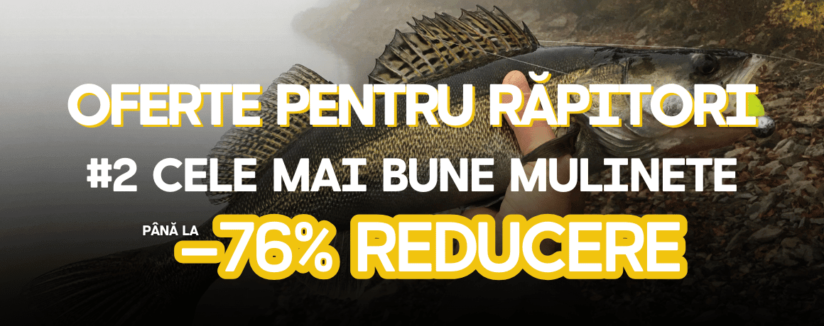 Tier, Leben im Meer, Fische, Barsch