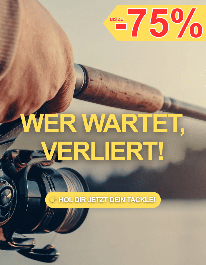 Photographie, Maschine, Rad